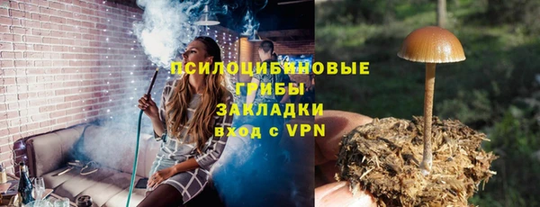 jwh Горняк